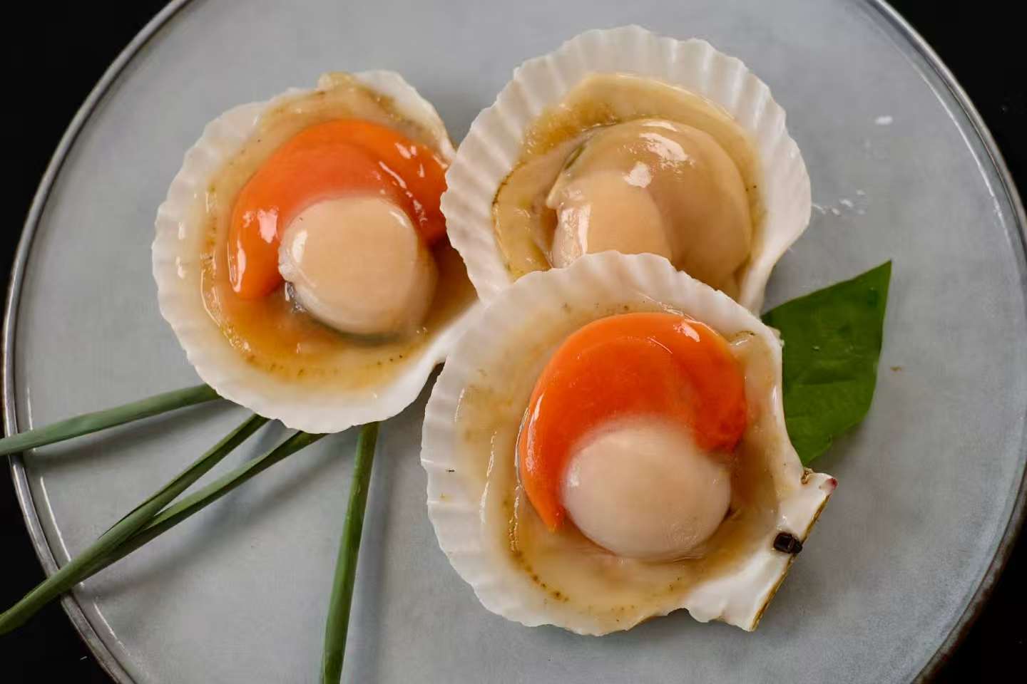 半壳虾夷贝